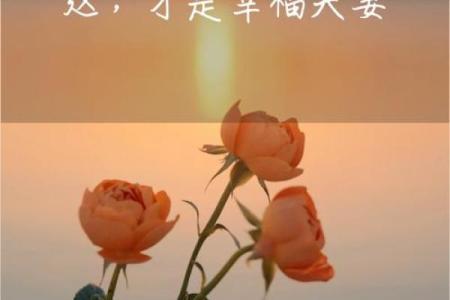 婚姻标准配对是真正的幸福婚姻的关键吗