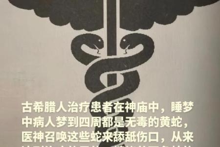 算命人说我是蛟龙,蛟龙命好吗