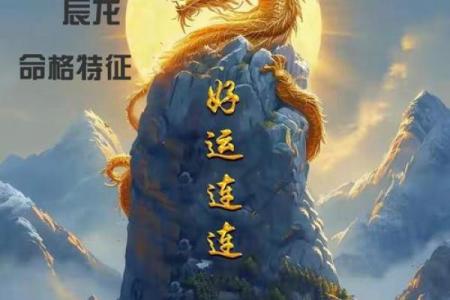 属龙适合找什么星座的