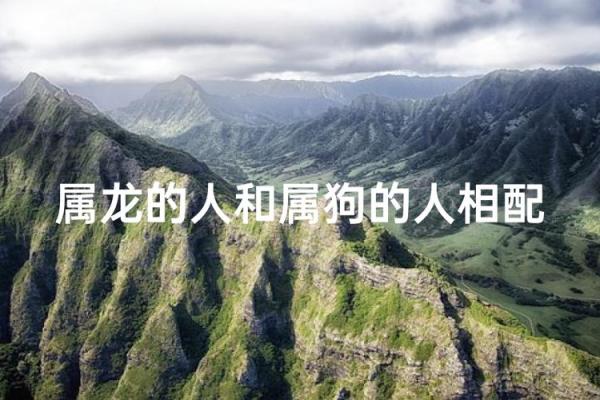 属龙和属狗适合做夫妻吗 配对有什么缺点
