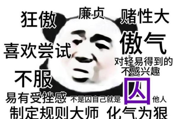 紫微斗数星曜漫谈——廉贞星