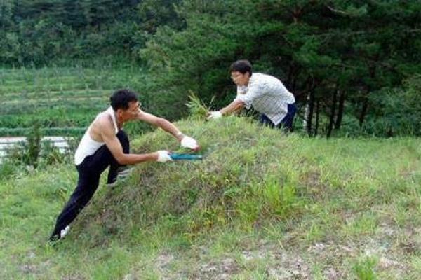 农村房子长草风水好吗