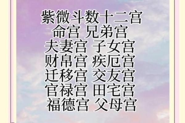 紫薇斗数怎么看主宫