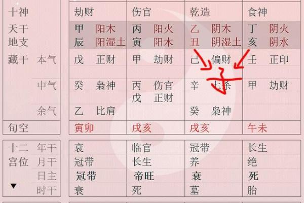 八字天元坐录详解：命盘分析、五行缺失、流年吉凶通解