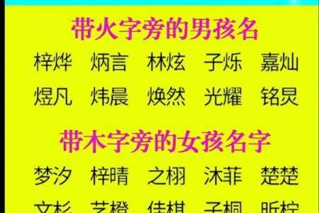 2019年3月19号午时出生的男孩起名时要注意什么姓名