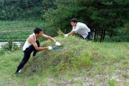 农村房子长草风水好吗