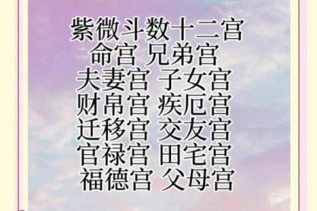 紫薇斗数怎么看主宫