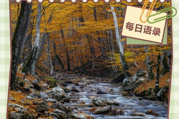 属牛是哪一年出生的 属牛的男孩出生吉日