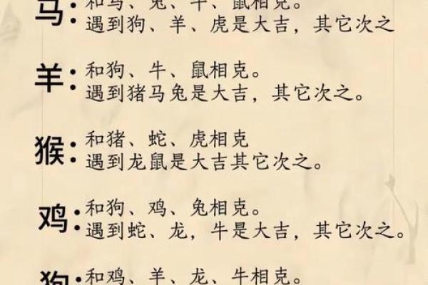 2024年对生肖鼠好不好，属鼠人在2024年的有利方位解析