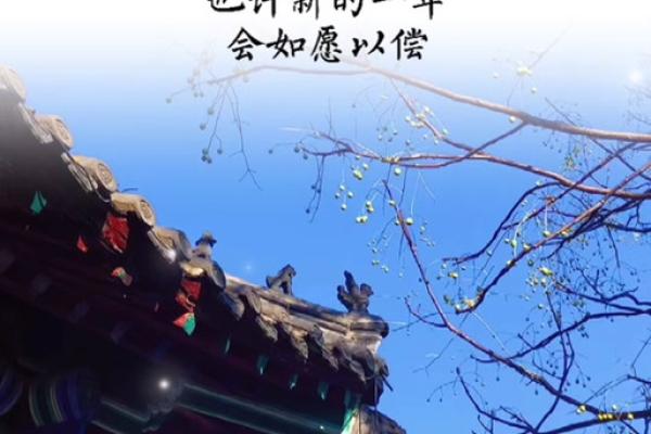 2024年农历腊月初九结婚是好日子吗 这天是婚嫁吉日吗
