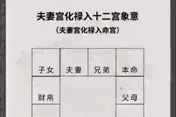 二婚紫薇斗数