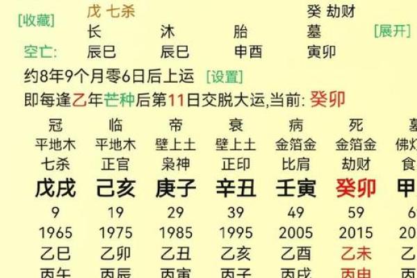 八字命盘自动解读