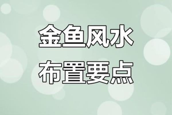 人养风水，如何养风水