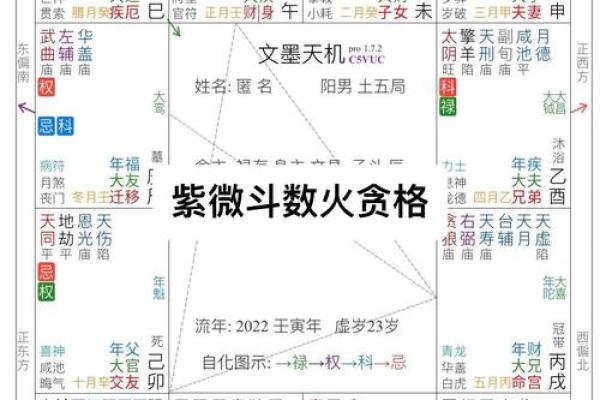 紫薇斗数查财运