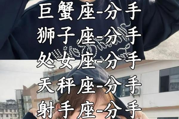 处女座跟哪个星座比较相配呢