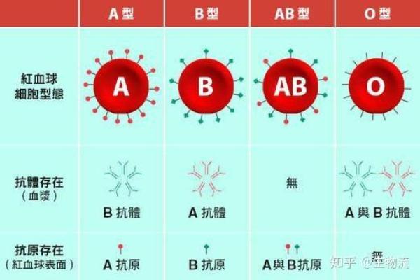通过血型看职业选择