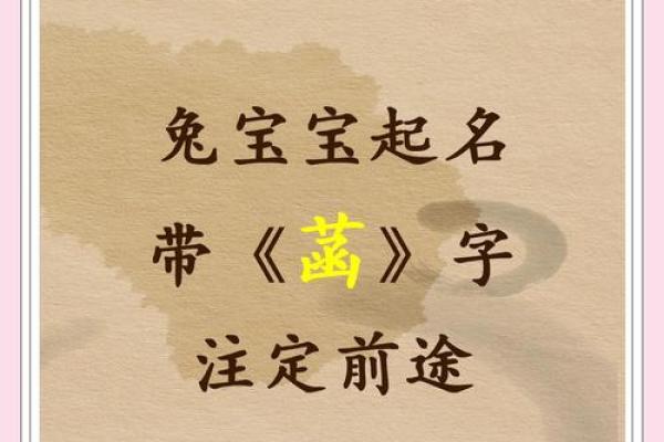 2011年兔宝宝取名的10项思路参考-姓名学-姓名分析姓名