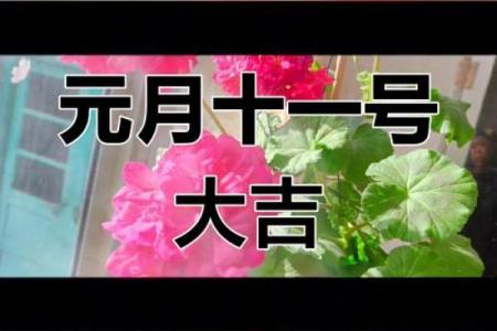 2024年农历腊月初九结婚是好日子吗 这天是婚嫁吉日吗