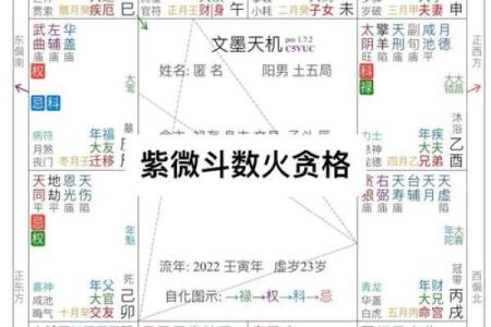 紫薇斗数查财运