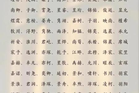 2019年4月9号辰时出生的男孩起名时要注意什么姓名