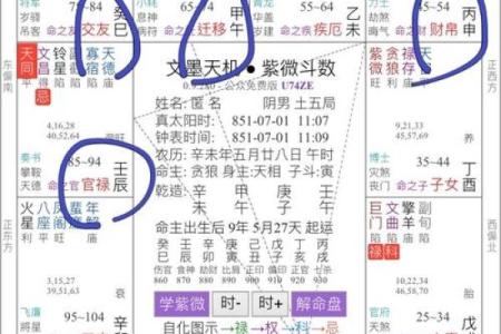 紫微斗数之官禄宫四化飞星,是什么意思？
