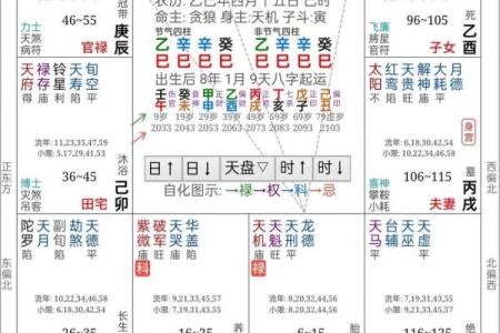 紫薇斗数蛇