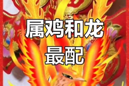 鸡跟什么生肖配对最好 生肖鸡最佳配对