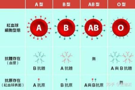 通过血型看职业选择