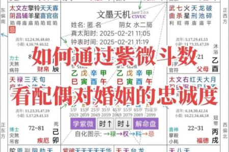 紫薇斗数看配偶大小