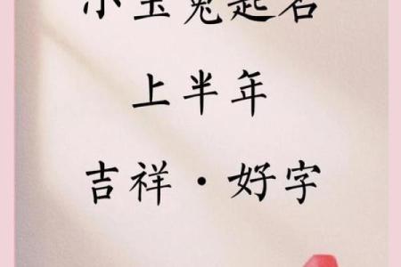 2011年兔宝宝取名的10项思路参考-姓名学-姓名分析姓名