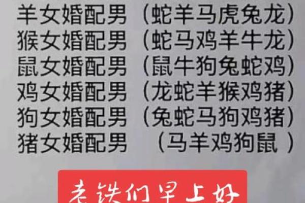 生肖配对姻缘猴男和狗女配对 生肖猴男配生肖狗女？