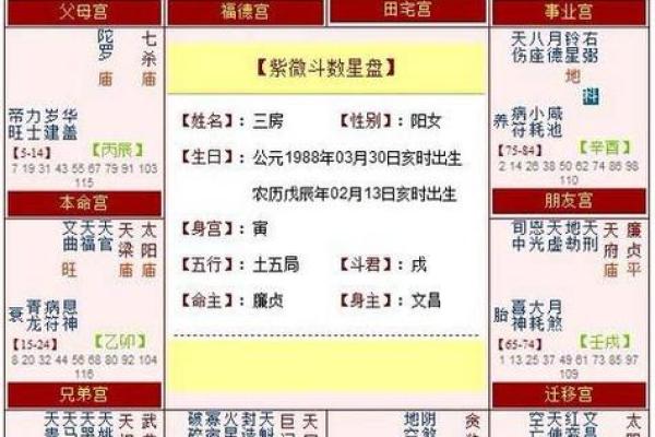 紫微斗数如何从子女宫看儿女运势