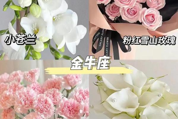 十二星座最合适的花