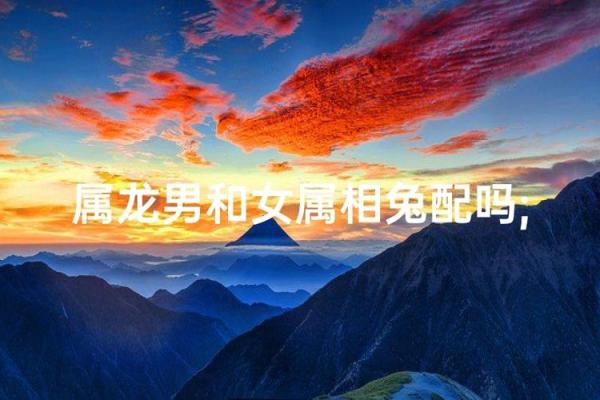 属龙女跟什么属相最配对