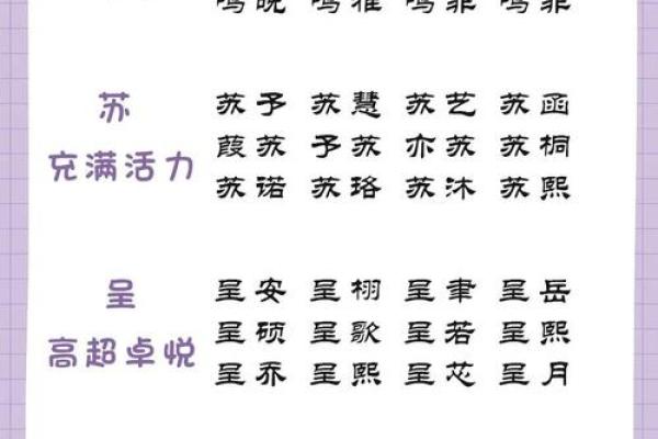 晚上出生属兔的男孩应该怎么样取名字呢？姓名