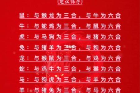 生肖配对姻缘猴男和狗女配对 生肖猴男配生肖狗女？