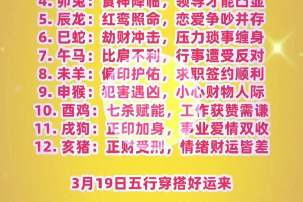 星座今天运势2月19日