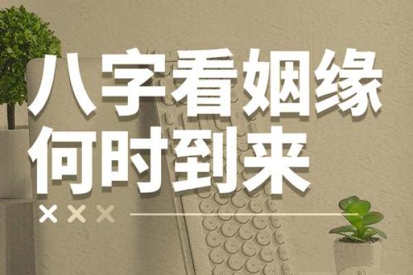 算命姻缘分 算命姻缘配对？