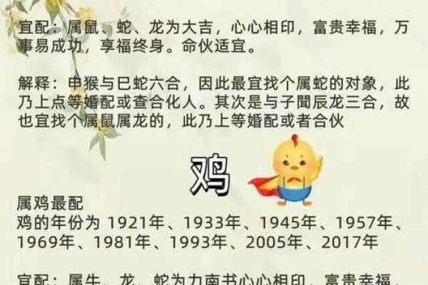 生肖配对真迹：十二生肖最佳配对大揭秘！