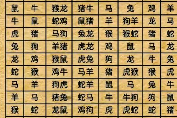 属相相冲但星座相合在一起合适吗