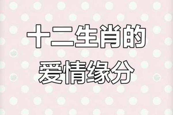 姓名爱情缘分配对非常 姓名爱情配对非常运势网？