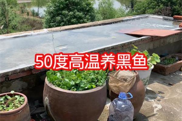 楼顶养鱼 风水