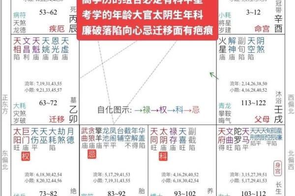 紫薇斗数算命准吗