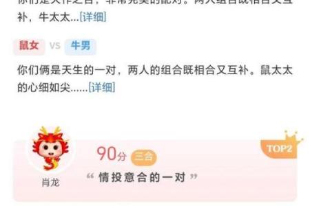 生肖鼠与十二生肖配对情况
