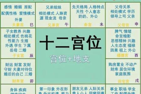 紫薇斗数算命准吗