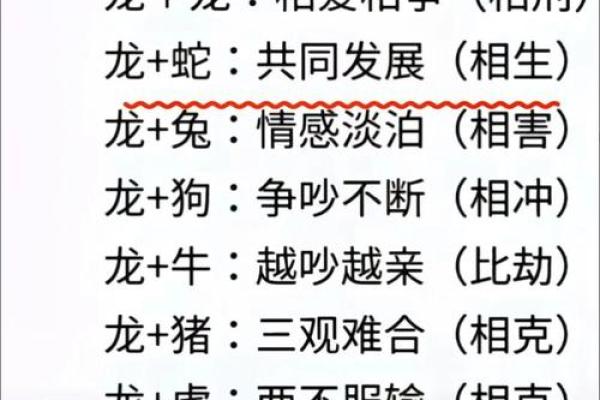 属龙姻缘配对