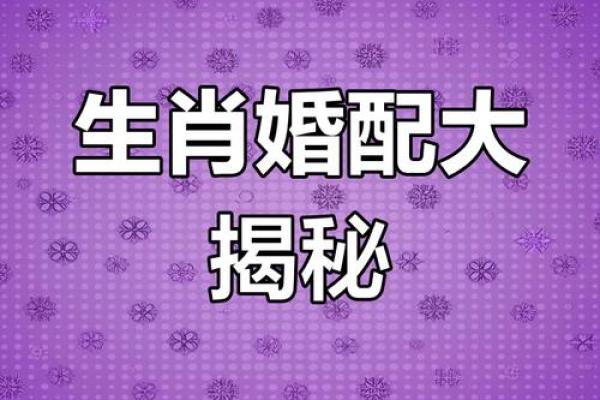 兔猴生肖配对姻缘 兔与猴的婚姻相配吗
