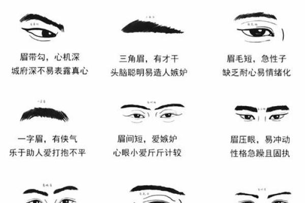 三角眉毛的面相算命图解