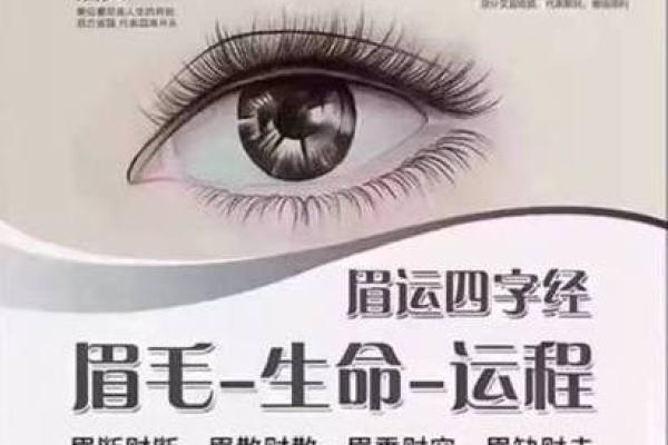 三角眉毛的面相算命图解