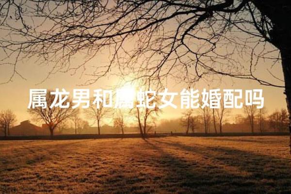 属龙男和属蛇女相配吗 属龙男配对的属相婚配表
